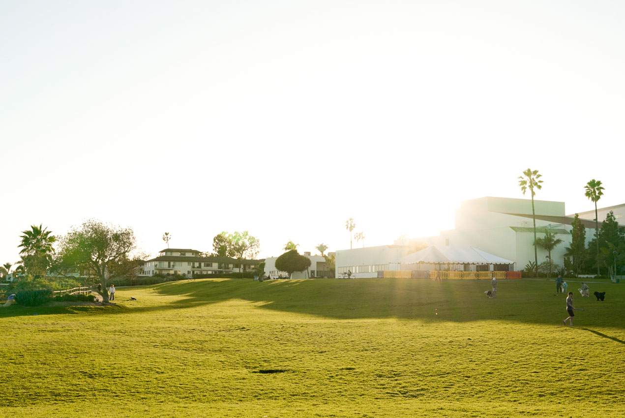 Great Meadow towards campus